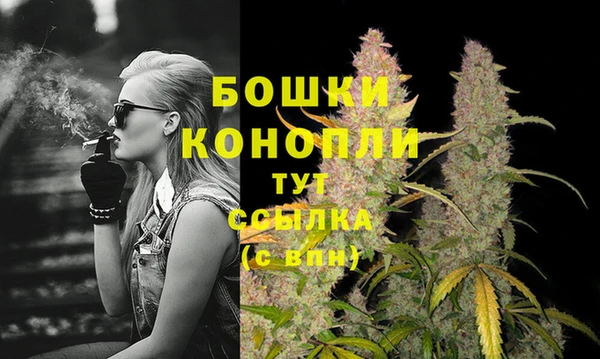 мескалин Инта