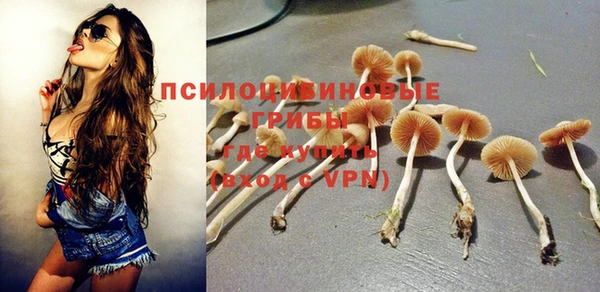 эйфоретик Алзамай